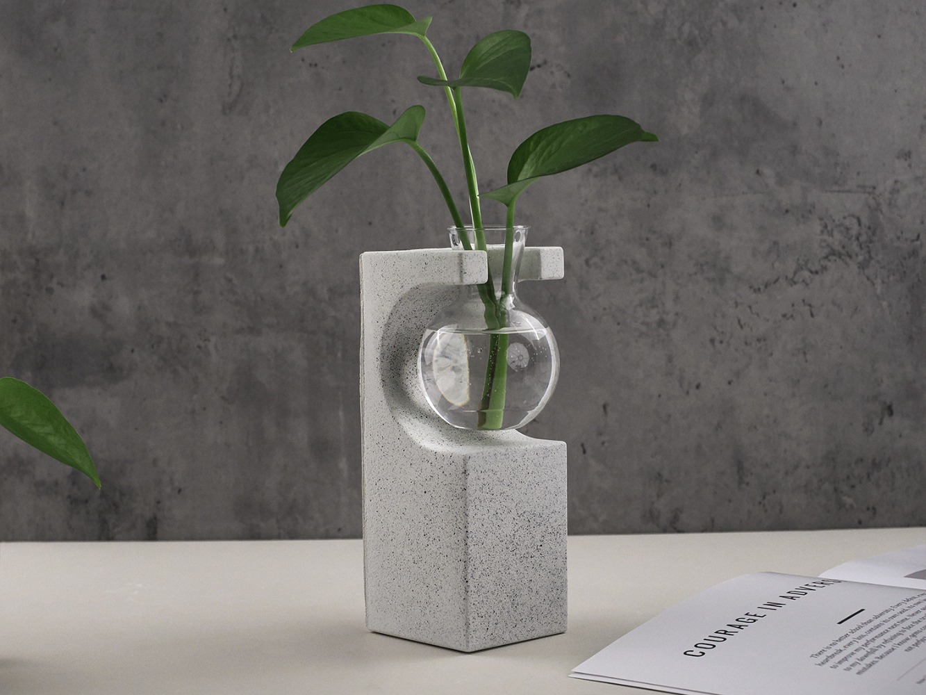 DIY Hydroponic Vase Silicone M - Potsticker Mold 评论和价格