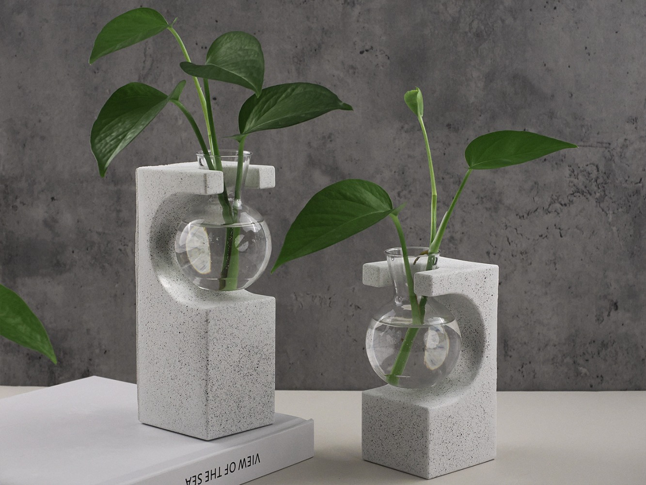 DIY Hydroponic Vase Silicone M - Potsticker Mold 评论和价格