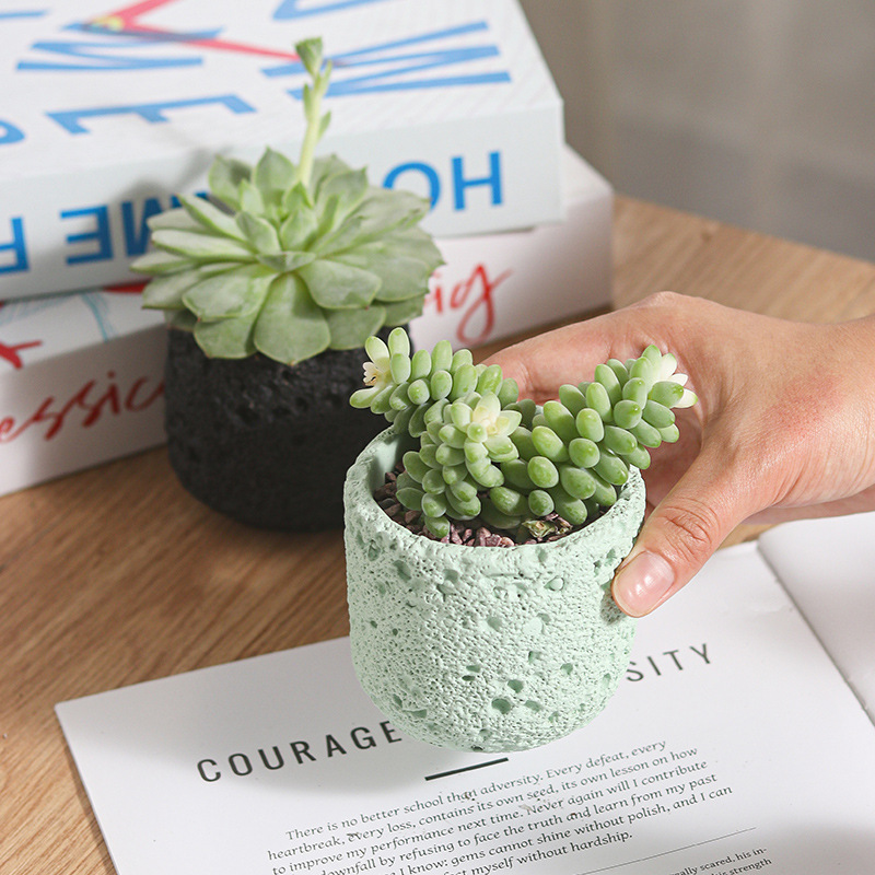 Creative Round Concrete Flower - Potsticker Mold 评论和价格